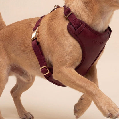 Arnés para perro en piel sintética burdeos ONLEASH