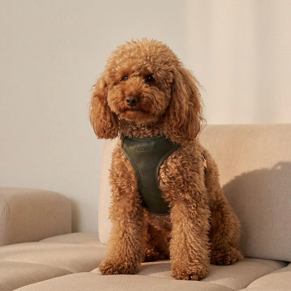 Arnés para perro en piel sintética verde ONLEASH