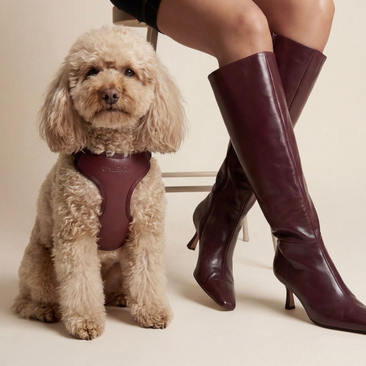 Arnés para perro en piel sintética burdeos ONLEASH