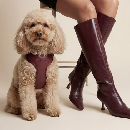 Arnés para perro en piel sintética burdeos ONLEASH