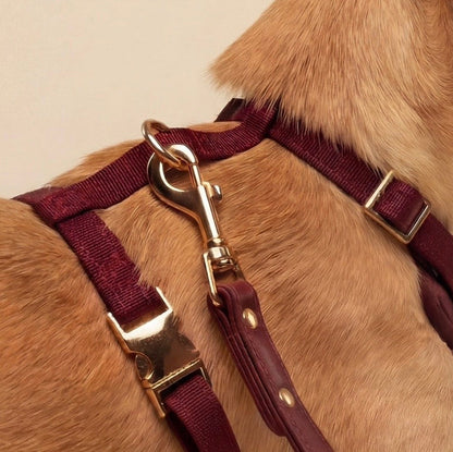 Arnés para perro en piel sintética burdeos ONLEASH