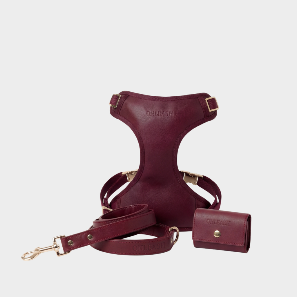 Set Burgundy - arnés y correa para perros de cuero sintético color burgundy - ONLEASH