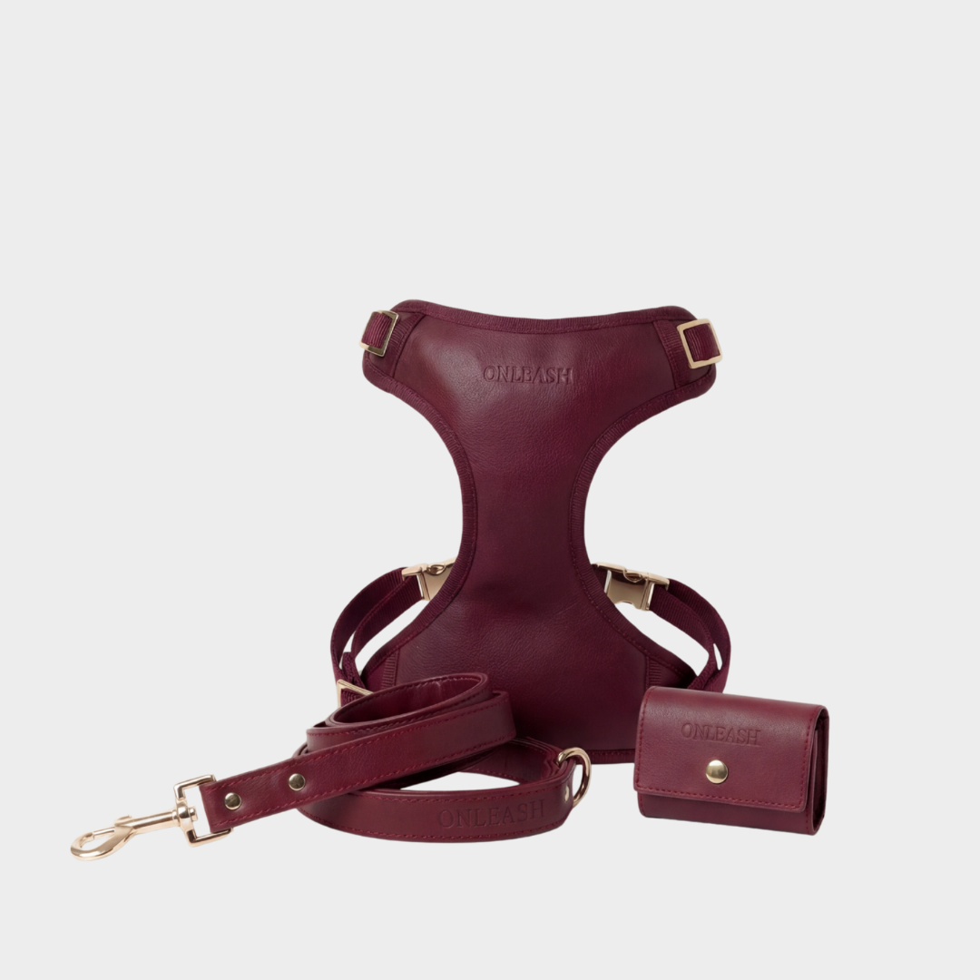 Set Burgundy - arnés y correa para perros de cuero sintético color burgundy - ONLEASH