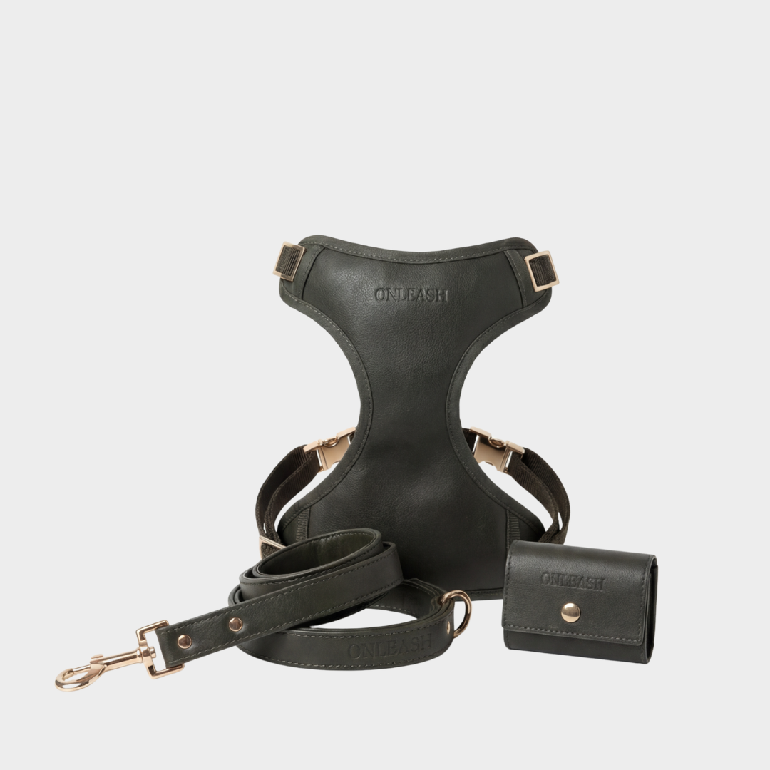 Set Verdee - arnés y correa para perros de cuero sintético color verde - ONLEASH