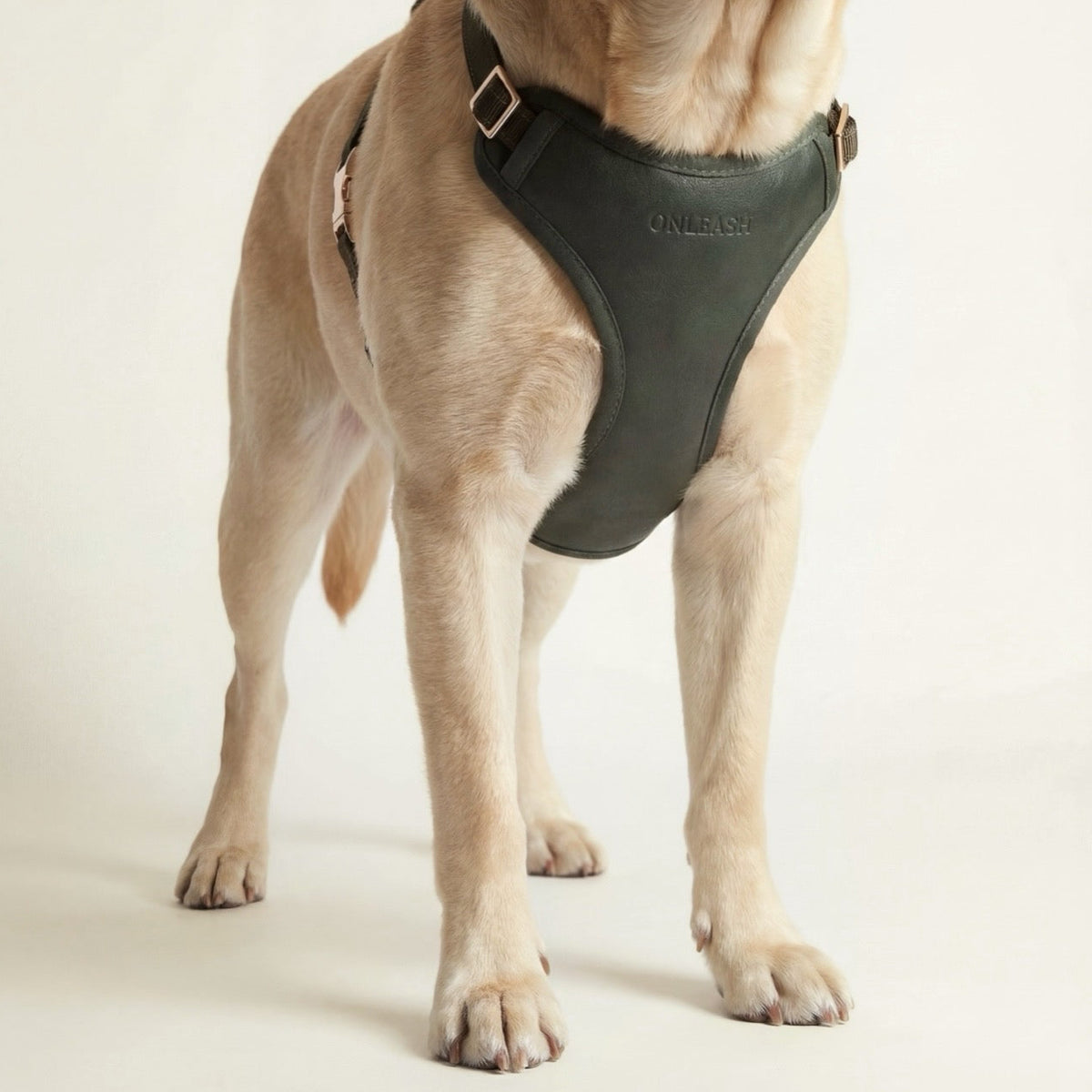 Arnés para perro en piel sintética verde ONLEASH