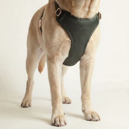 Arnés para perro en piel sintética verde ONLEASH